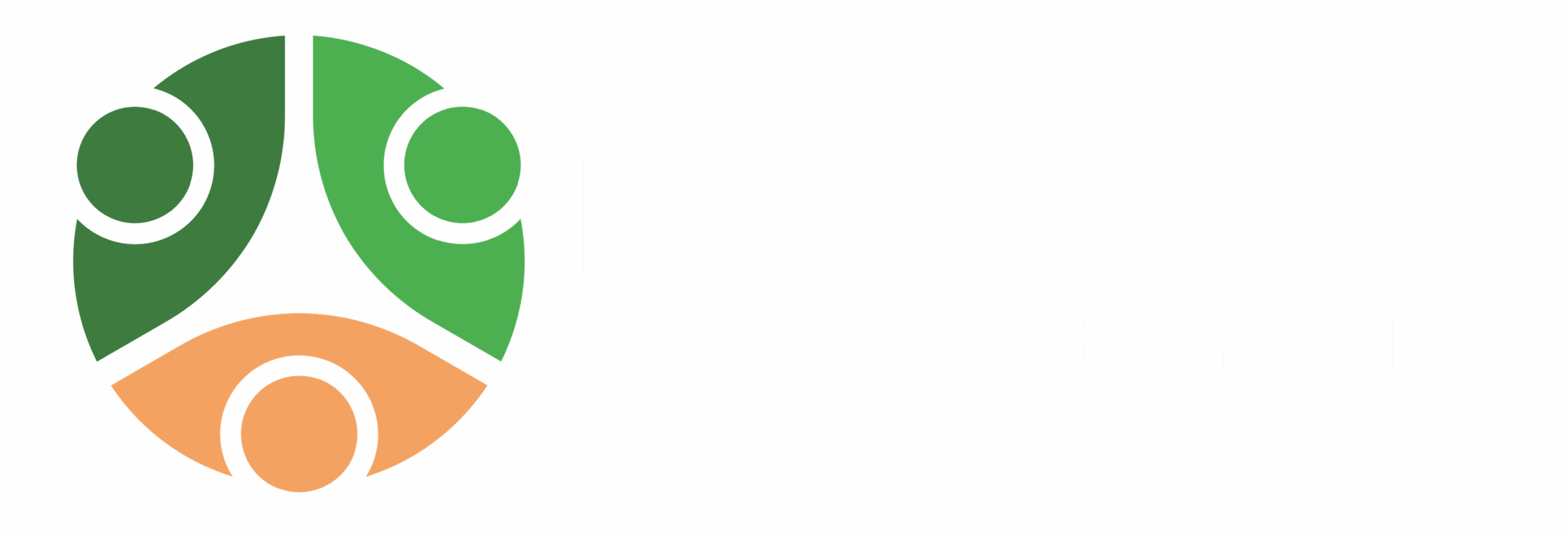 riseimpactacademy.org